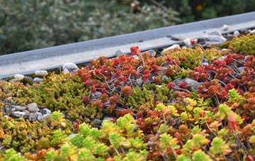 the cost of Over Stowey green roof installation
