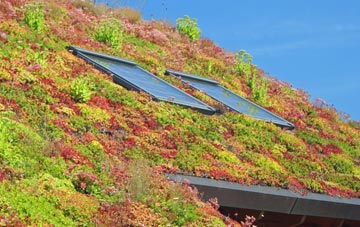 Over Stowey living roof systems